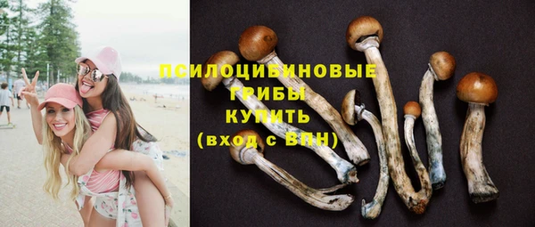 кокаин Богданович