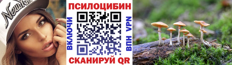 Купить закладки  Гаврилов Посад  Псилоцибиновые грибы прущие грибы 